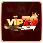 new-vip79-logo